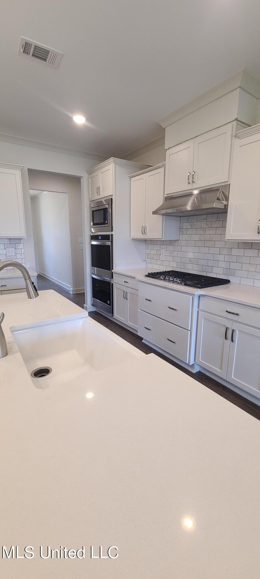 431 Ruskin Loop Hernando, MS 38632 - Photo 15 of 48 Farm Sink & Quarz