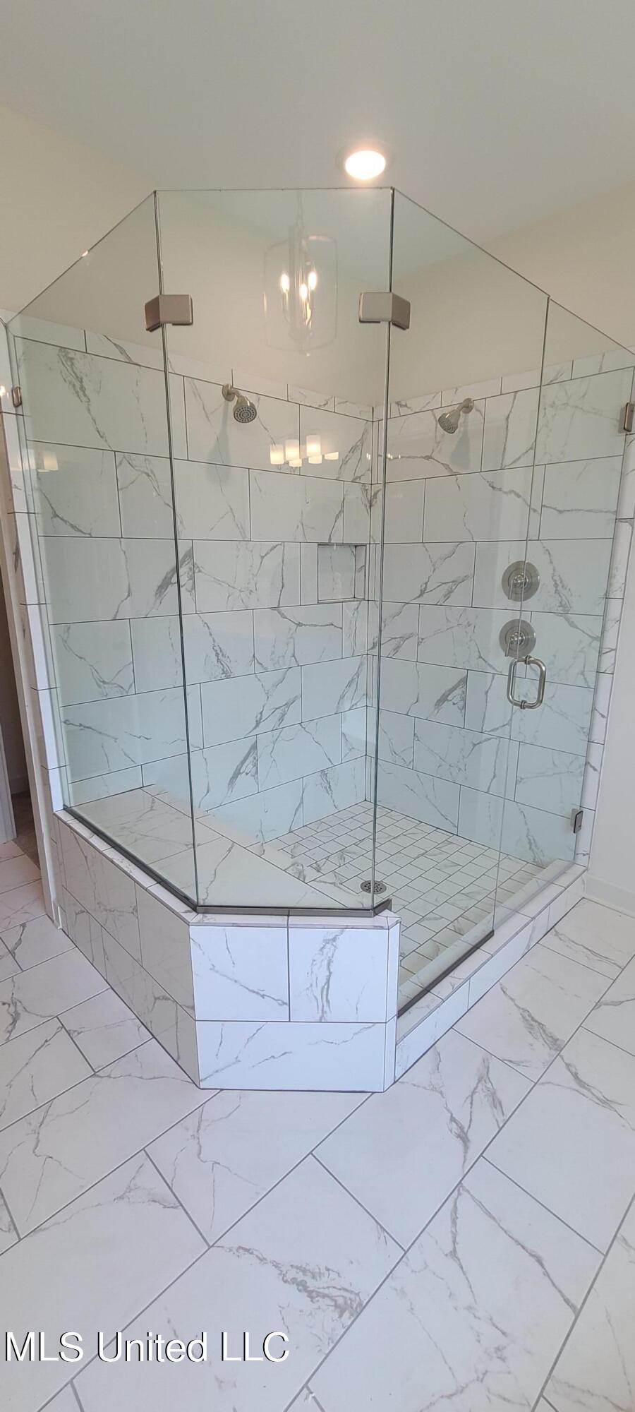 431 Ruskin Loop Hernando, MS 38632 - Photo 34 of 48 King Spa Shower