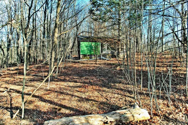 a view of outdoor space with a garden