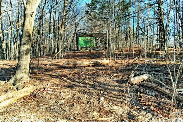 a view of outdoor space with lots of trees