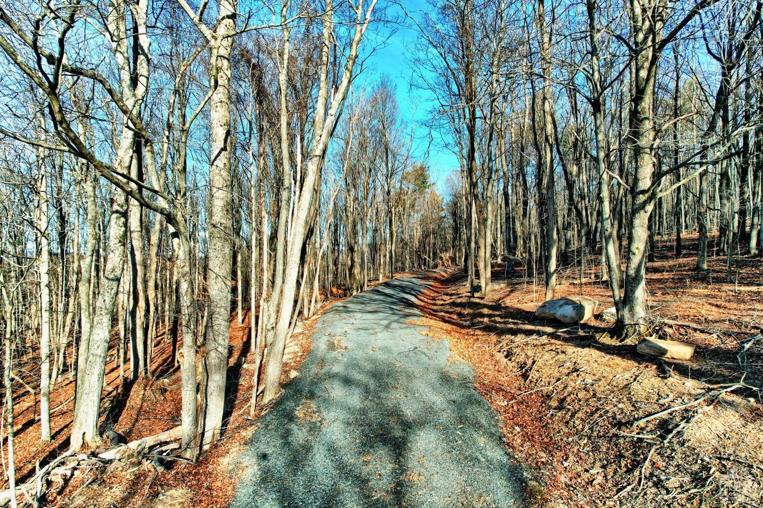 268 Hervey Street Road Durham, NY 12418 - Photo 13 of 79 a view of a backyard with a tree
