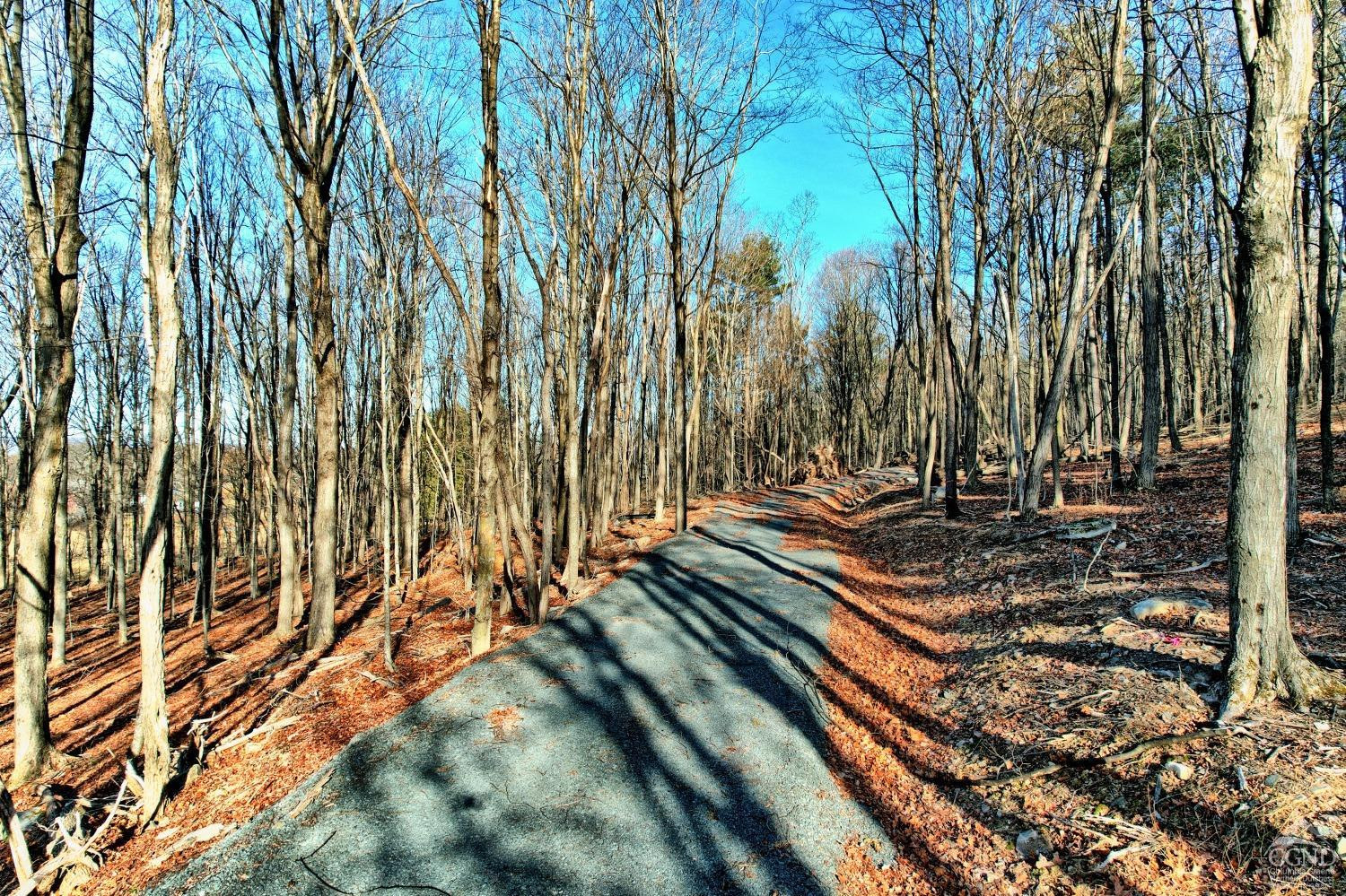 268 Hervey Street Road Durham, NY 12418 - Photo 14 of 79 a view of a yard with plants and trees