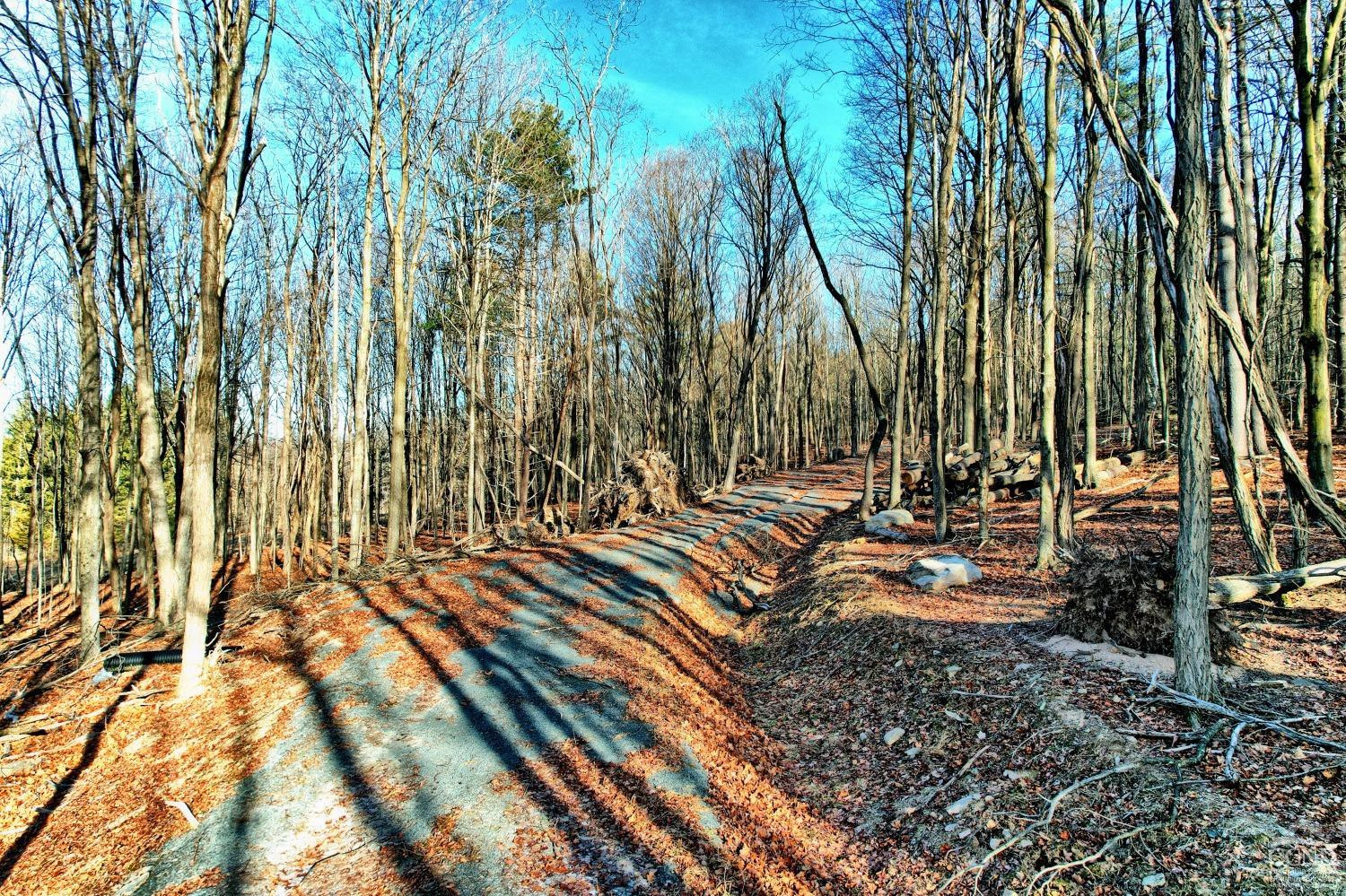 268 Hervey Street Road Durham, NY 12418 - Photo 15 of 79 Photo 15