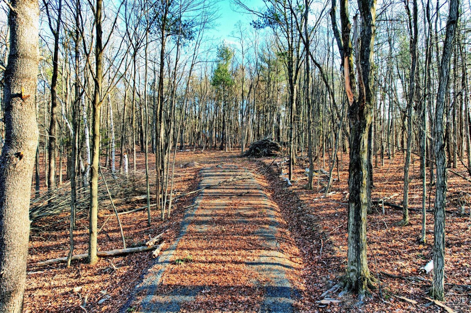 268 Hervey Street Road Durham, NY 12418 - Photo 17 of 79 a view of outdoor space