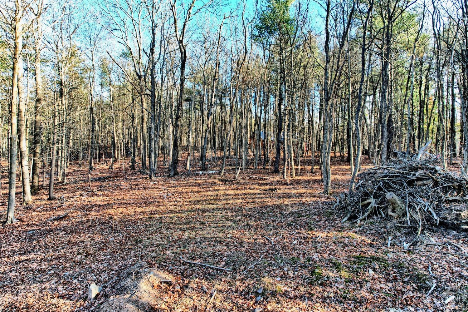 268 Hervey Street Road Durham, NY 12418 - Photo 18 of 79 a view of outdoor space with trees