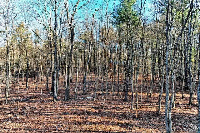 a view of outdoor space with trees