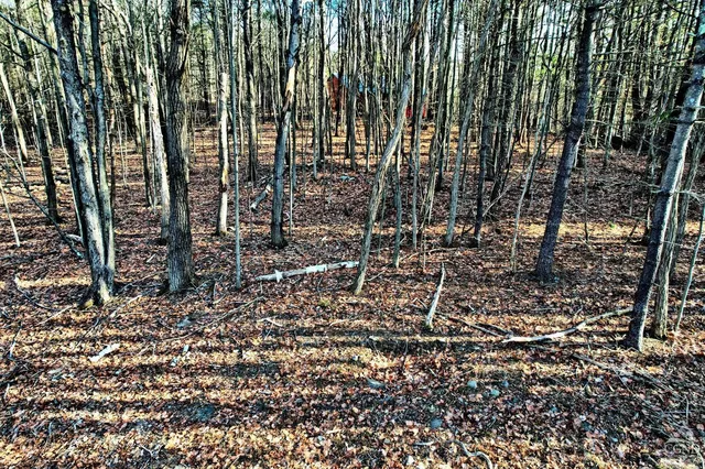 a backyard of a house with lots of trees