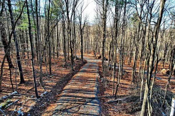 a view of outdoor space with lots of trees