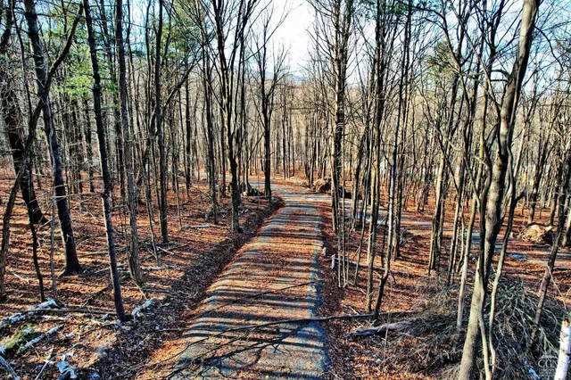 a view of outdoor space with lots of trees
