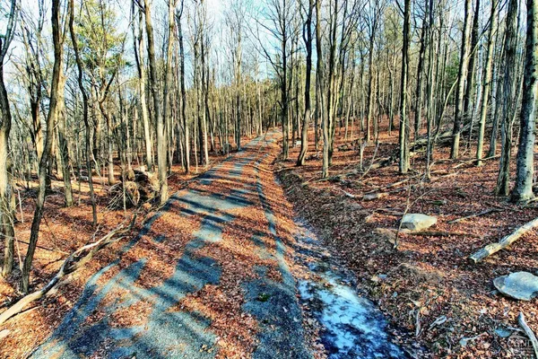a view of a street with a yard
