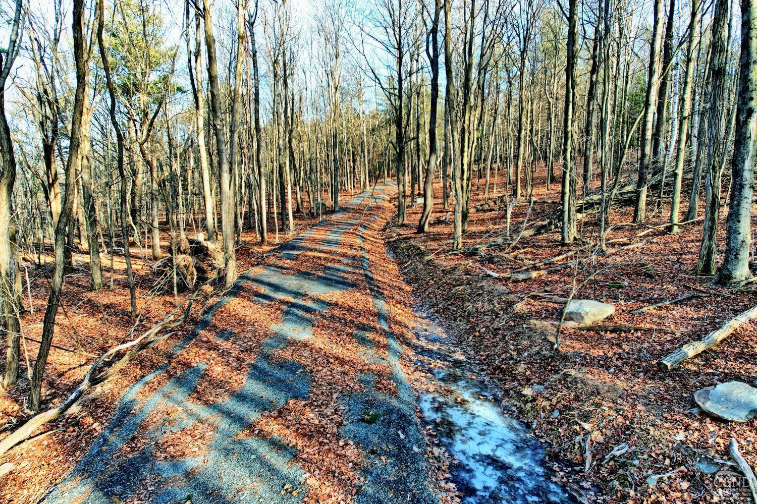 268 Hervey Street Road Durham, NY 12418 - Photo 24 of 79 Photo 24