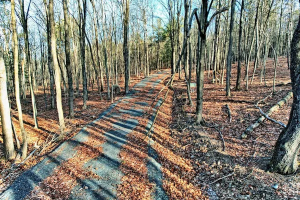 a view of lake and mountain