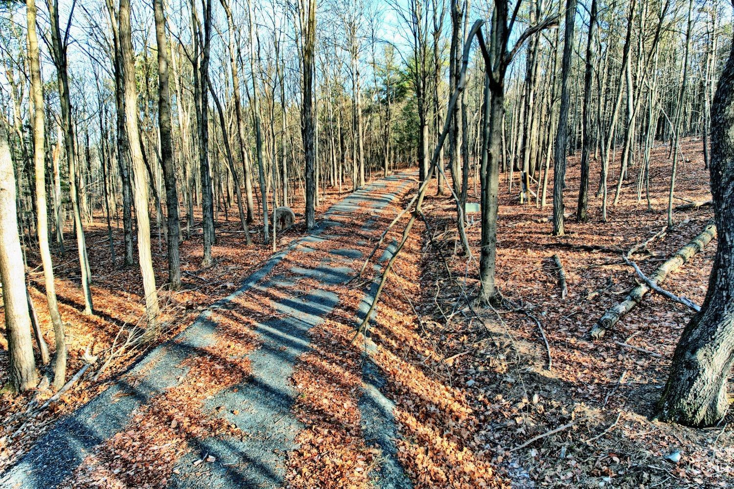 268 Hervey Street Road Durham, NY 12418 - Photo 25 of 79 Photo 25