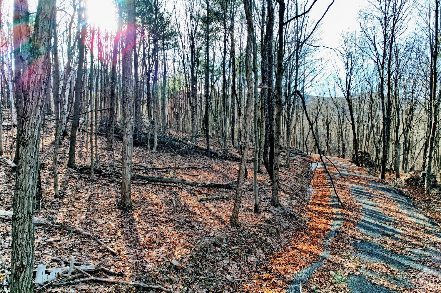 268 Hervey Street Road Durham, NY 12418 - Photo 27 of 79 a backyard of a house with lots of green space