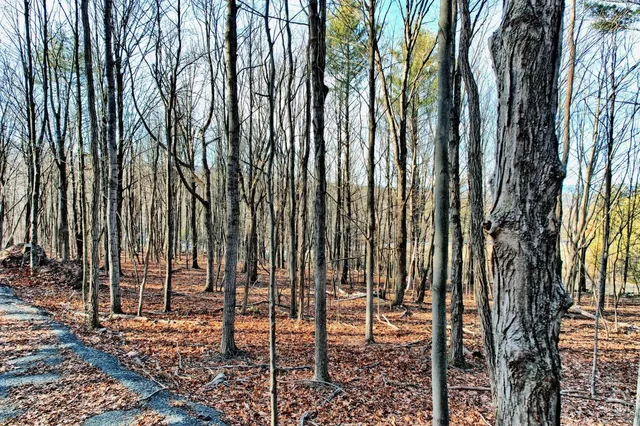 a view of a lush green field