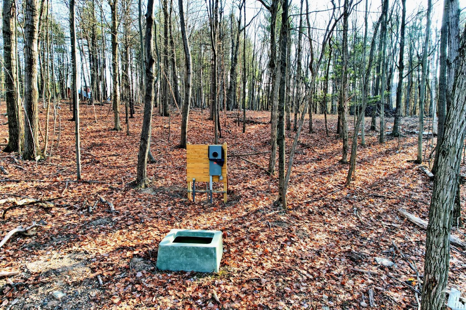 268 Hervey Street Road Durham, NY 12418 - Photo 29 of 79 Photo 29