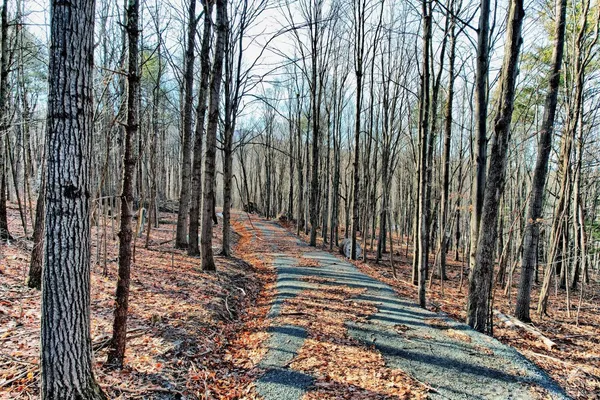 a view of a plants covered with trees
