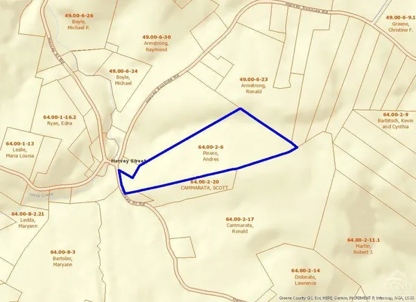 a view of a park with large trees