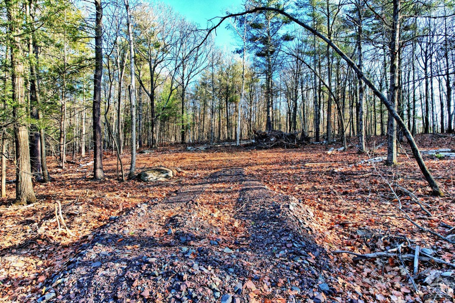 268 Hervey Street Road Durham, NY 12418 - Photo 31 of 79 a backyard of a house with lots of green space