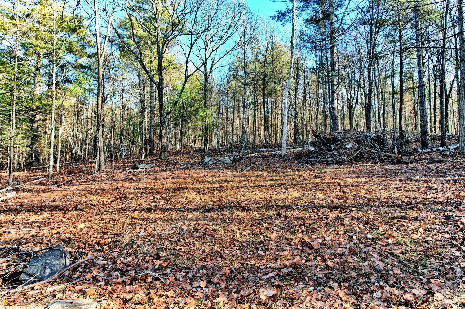 268 Hervey Street Road Durham, NY 12418 - Photo 32 of 79 a view of outdoor space with trees