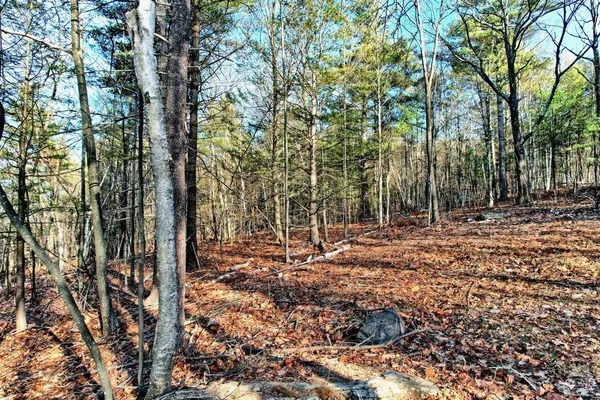 a view of a city with an ocean
