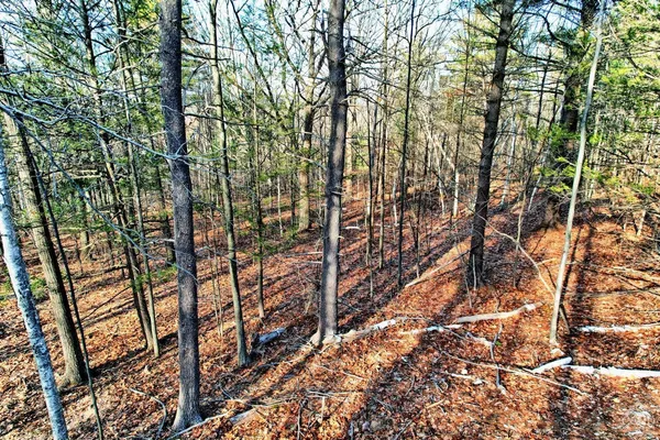 a view of a lake with a yard