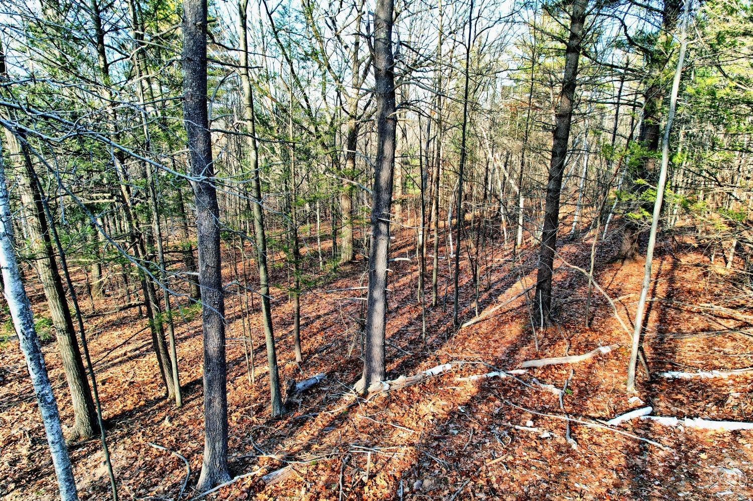 268 Hervey Street Road Durham, NY 12418 - Photo 37 of 79 Photo 37