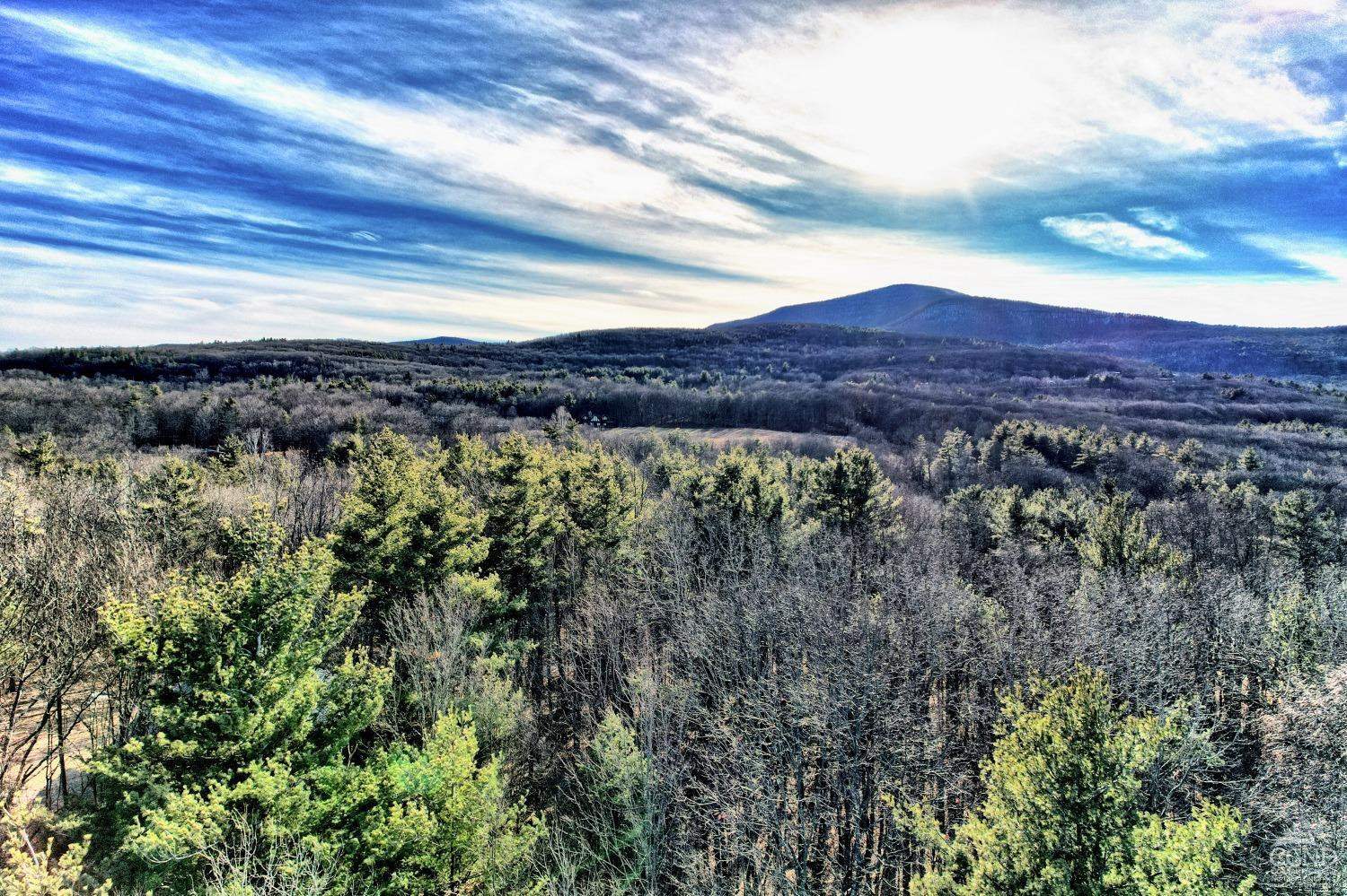 268 Hervey Street Road Durham, NY 12418 - Photo 40 of 79 Photo 40