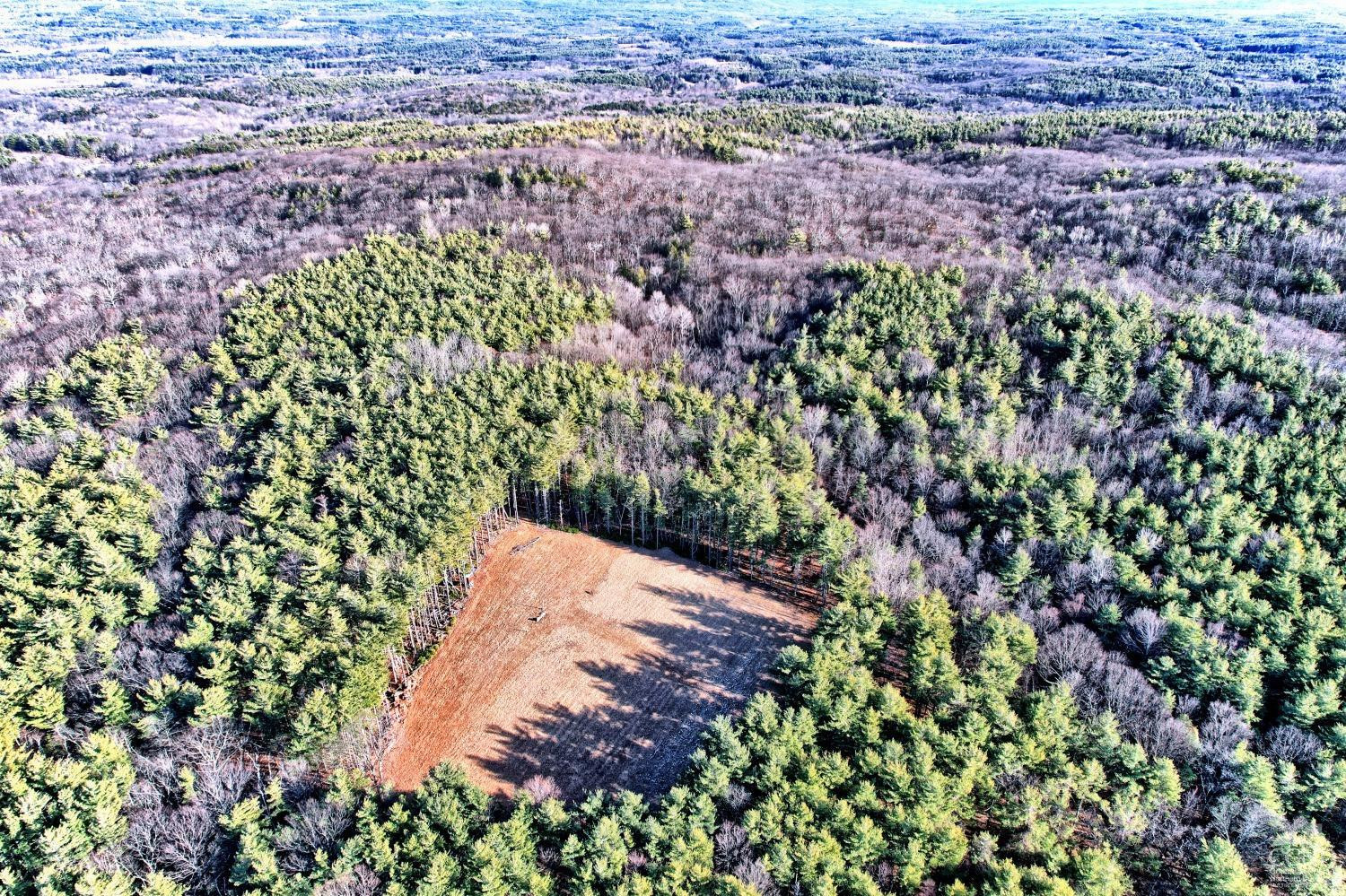 268 Hervey Street Road Durham, NY 12418 - Photo 4 of 79 Photo 4