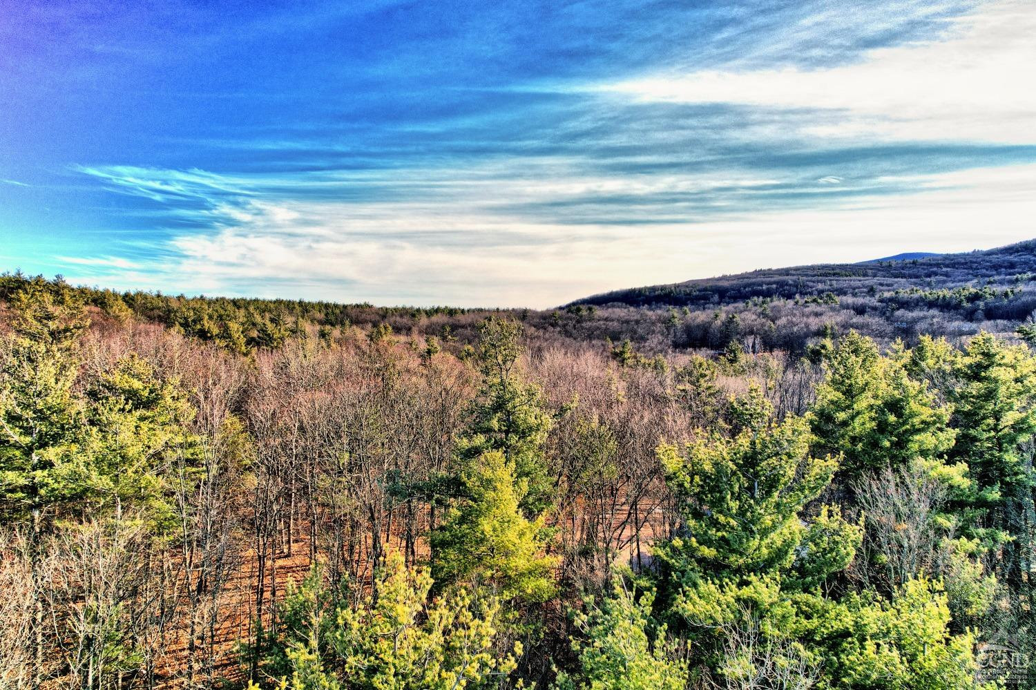 268 Hervey Street Road Durham, NY 12418 - Photo 41 of 79 a view of lake and mountain