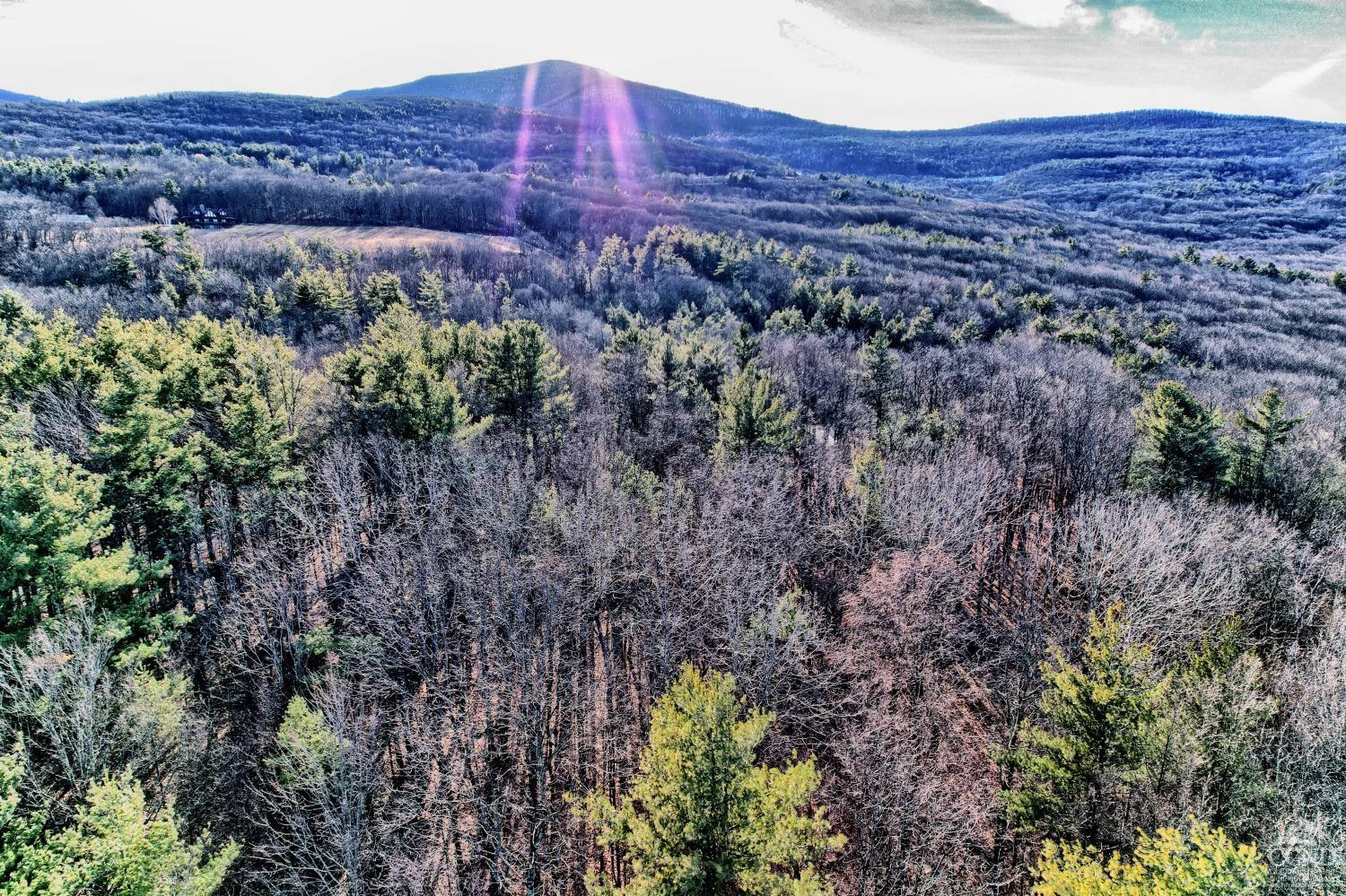 268 Hervey Street Road Durham, NY 12418 - Photo 44 of 79 a view of a lush green field