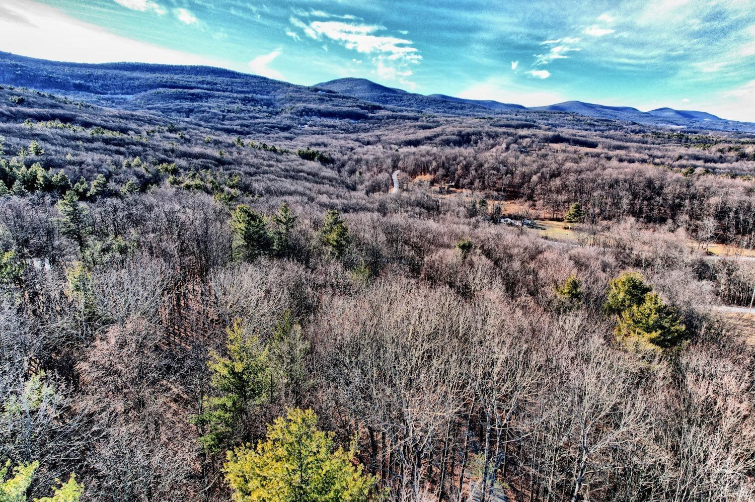 268 Hervey Street Road Durham, NY 12418 - Photo 45 of 79 a view of a city