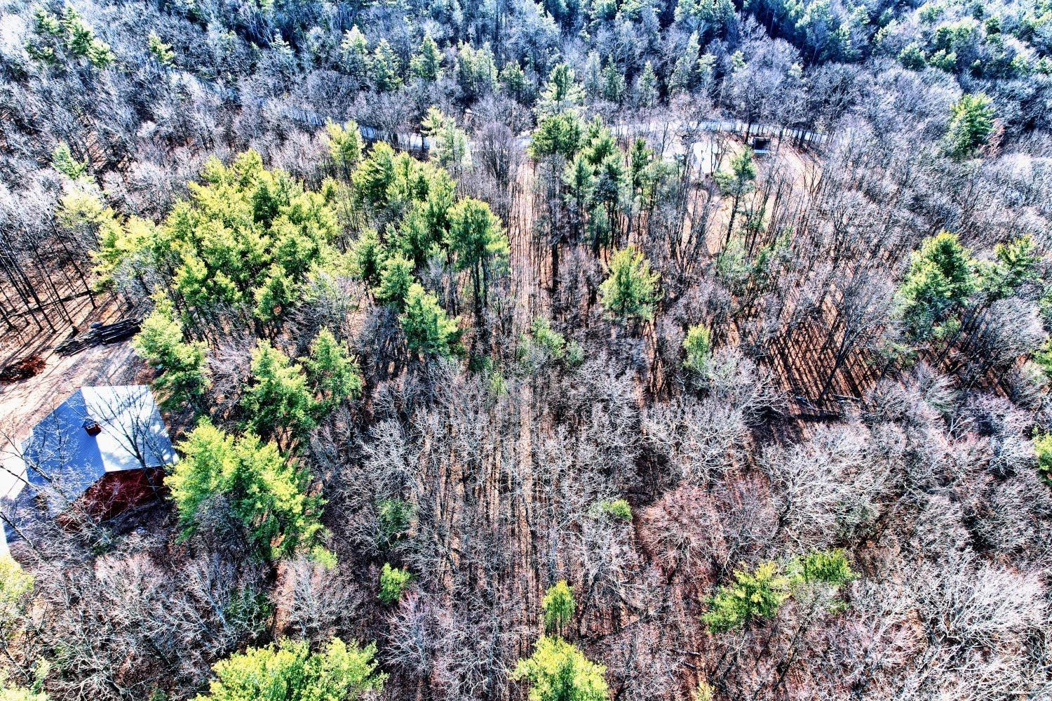 268 Hervey Street Road Durham, NY 12418 - Photo 47 of 79 Photo 47