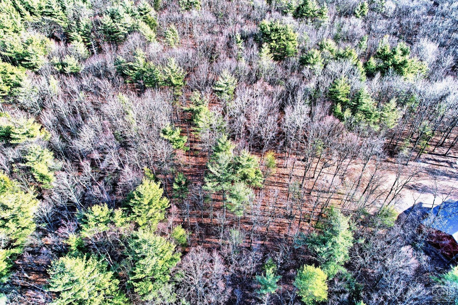 268 Hervey Street Road Durham, NY 12418 - Photo 48 of 79 Photo 48