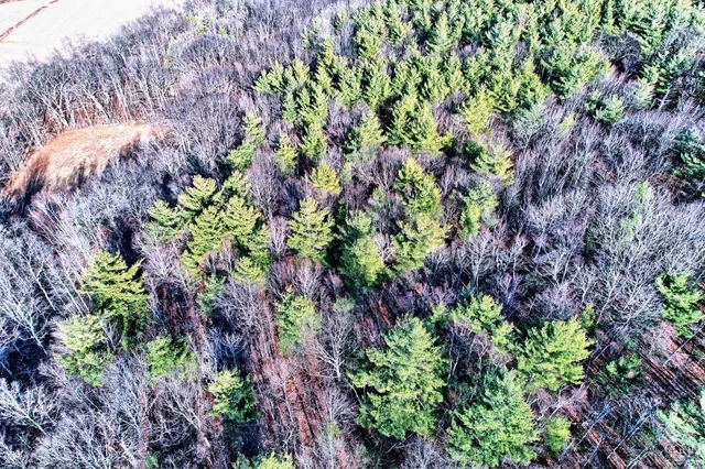 an aerial view of residential house and sandy dunes
