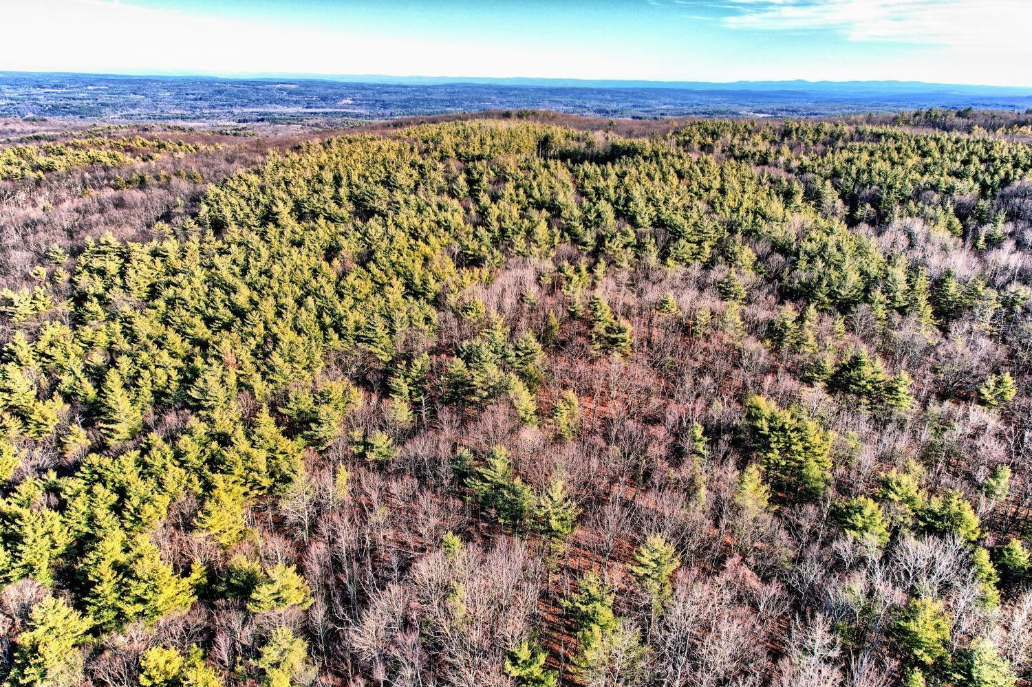 268 Hervey Street Road Durham, NY 12418 - Photo 50 of 79 Photo 50