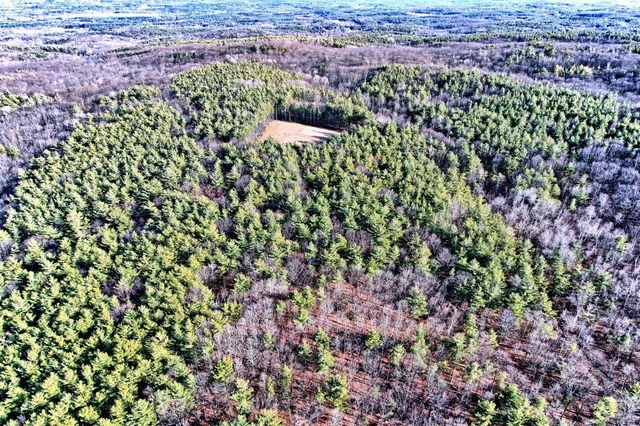 a view of a tree with a yard