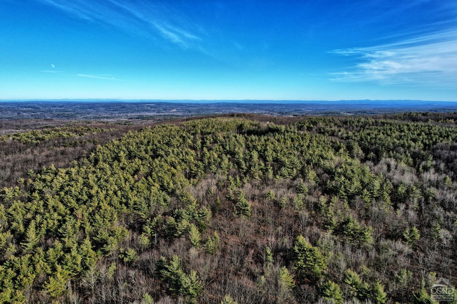 268 Hervey Street Road Durham, NY 12418 - Photo 58 of 79 a view of a city