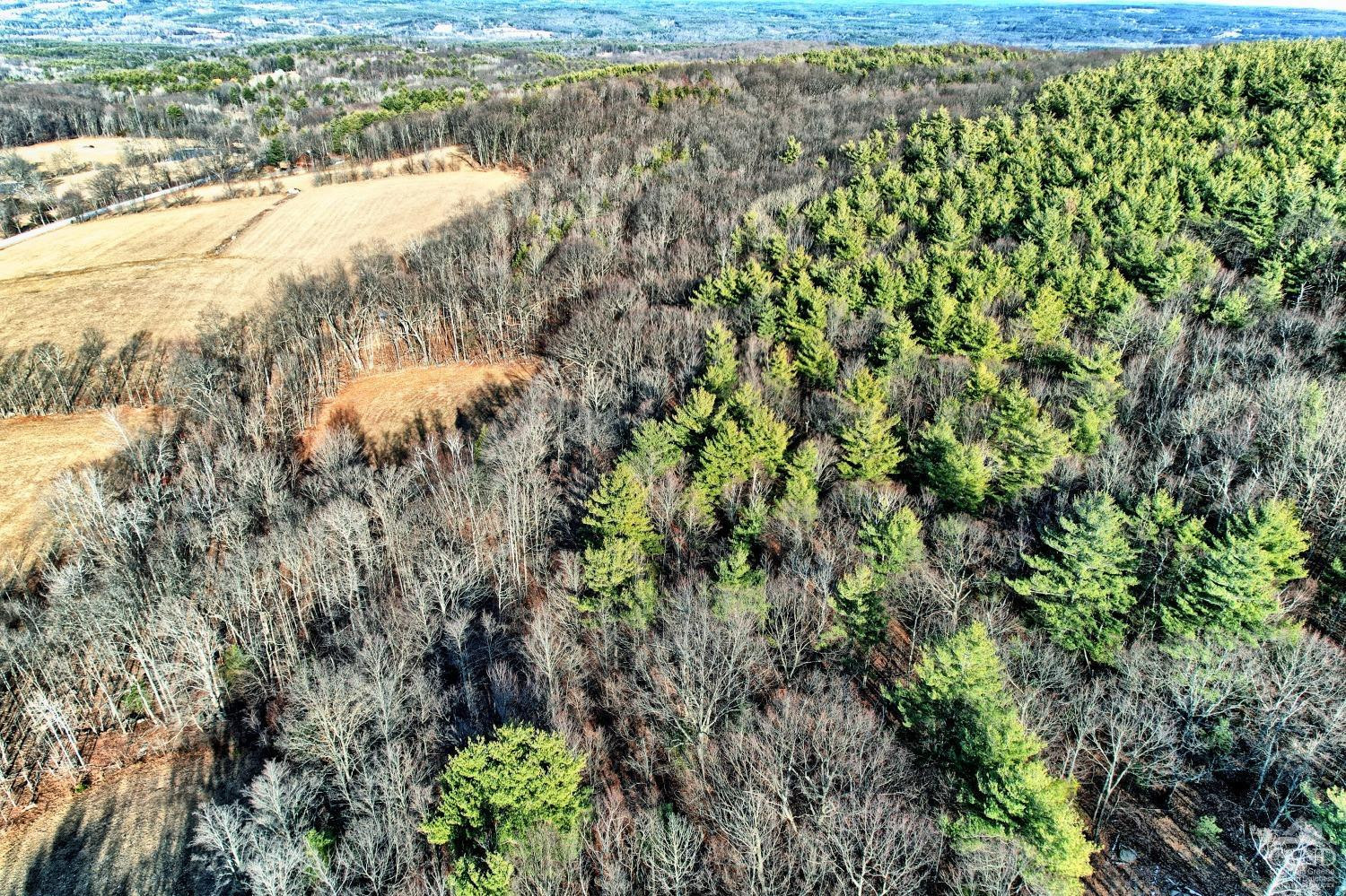 268 Hervey Street Road Durham, NY 12418 - Photo 59 of 79 a view of a lake with a yard