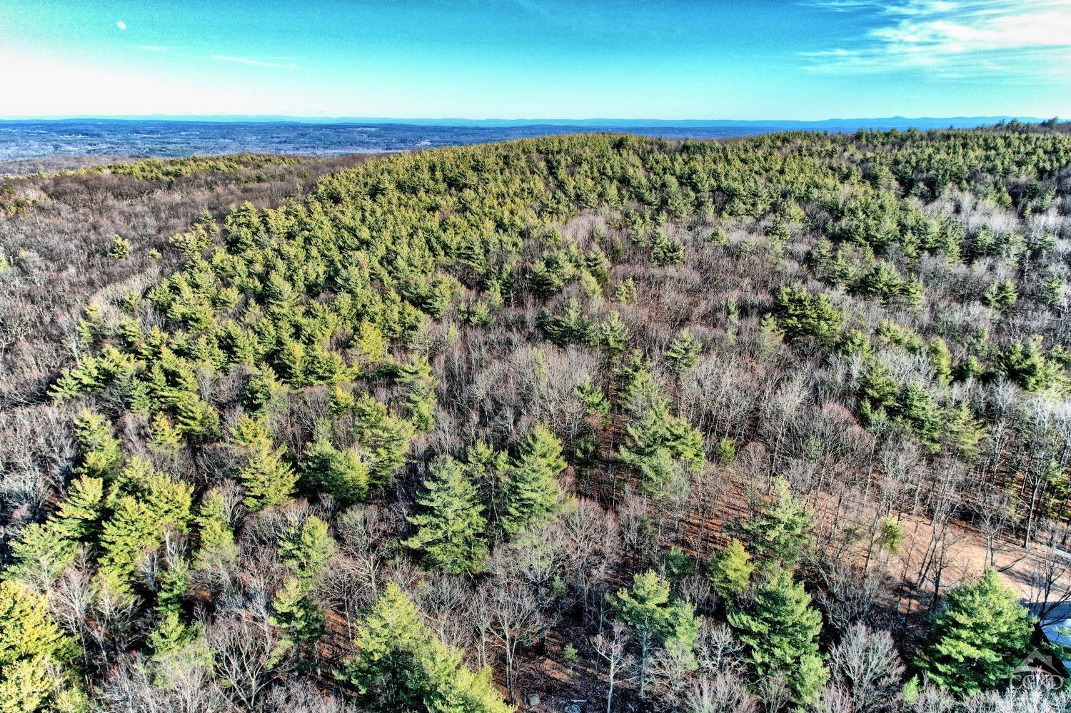 268 Hervey Street Road Durham, NY 12418 - Photo 60 of 79 a view of a field with an outdoor space