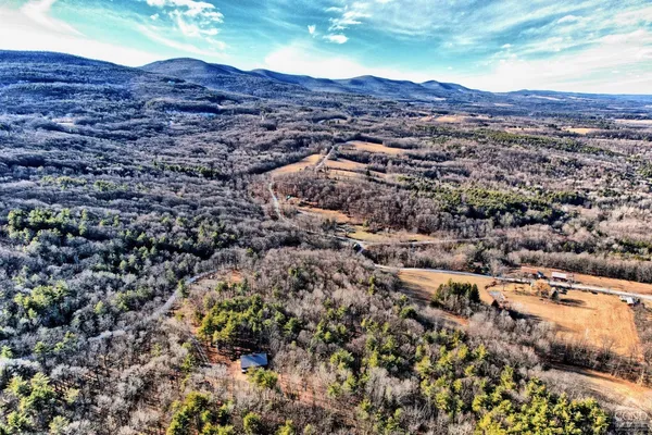a view of a backyard with a tree
