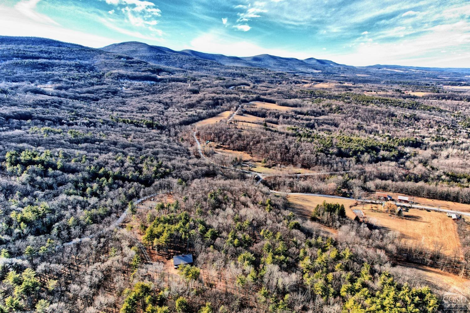 268 Hervey Street Road Durham, NY 12418 - Photo 6 of 79 Photo 6