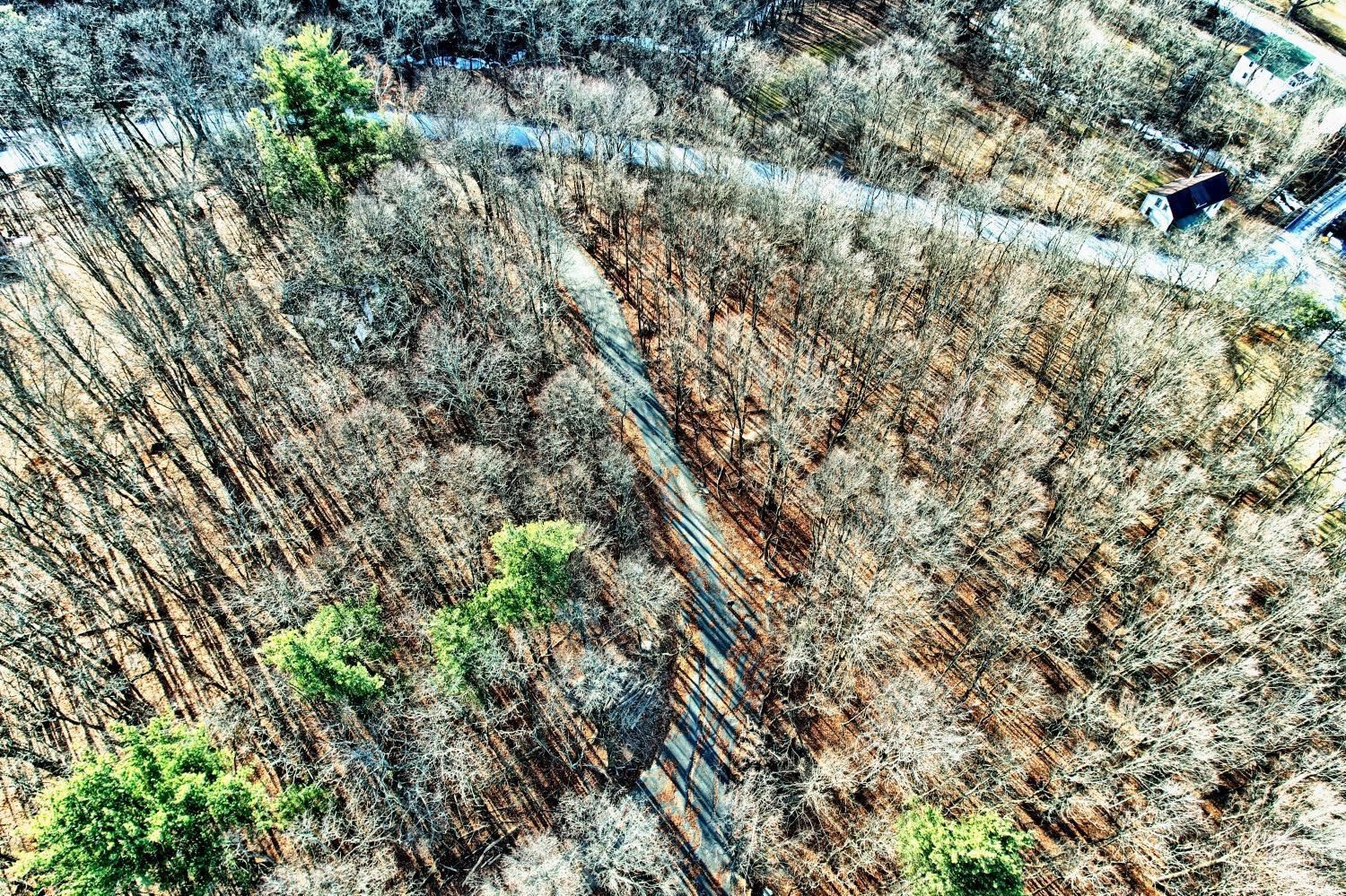 268 Hervey Street Road Durham, NY 12418 - Photo 62 of 79 Photo 62