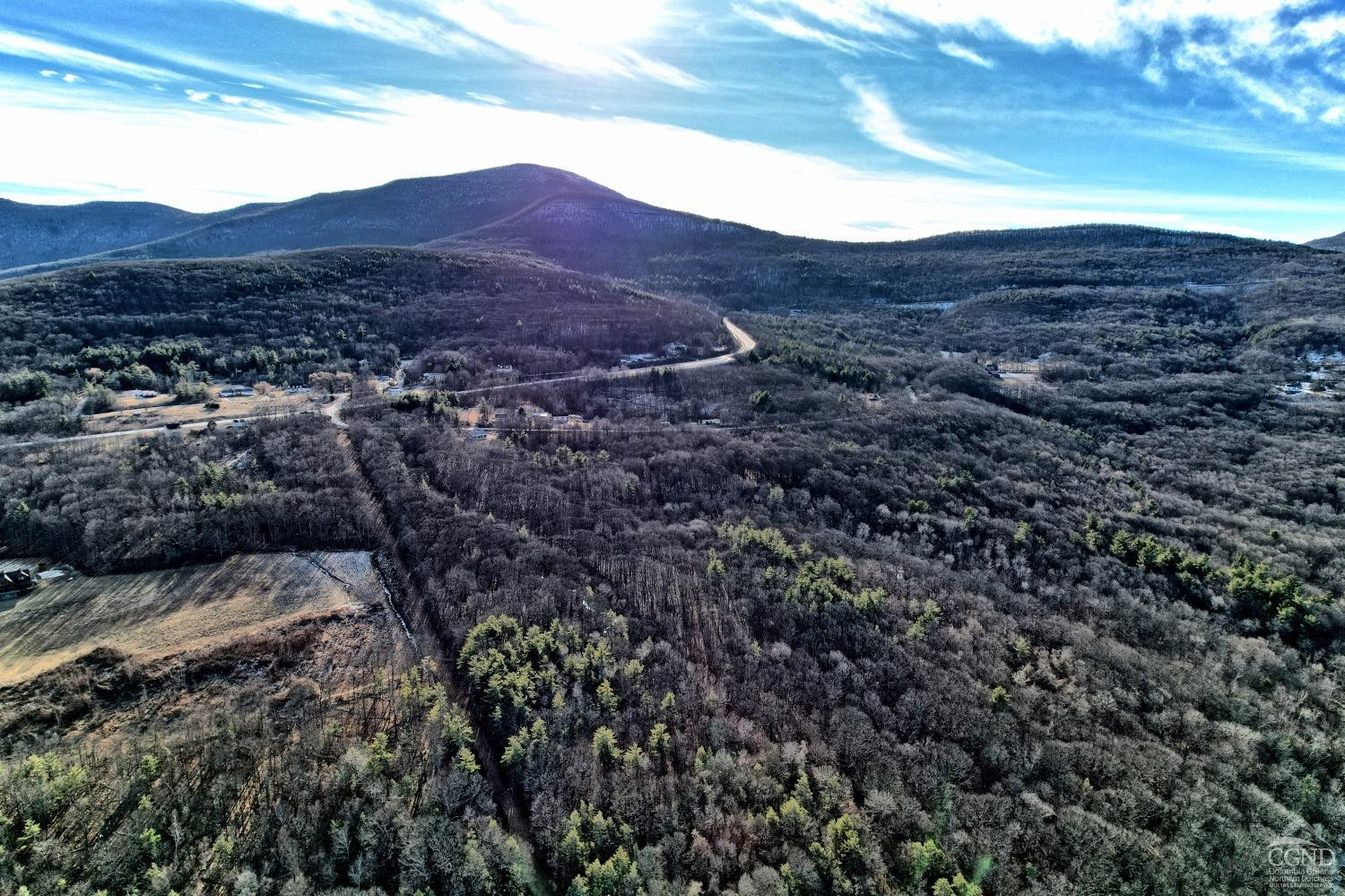 268 Hervey Street Road Durham, NY 12418 - Photo 67 of 79 a view of a large mountain in the distance