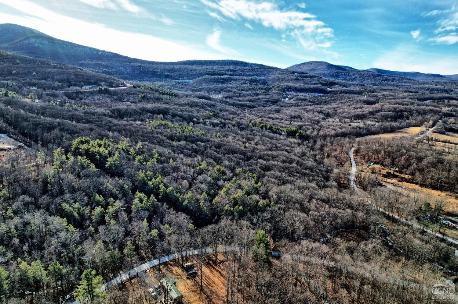 268 Hervey Street Road Durham, NY 12418 - Photo 7 of 79 Photo 7