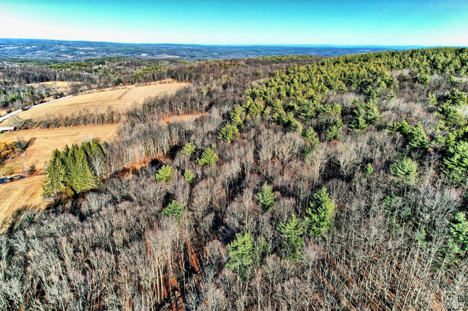 268 Hervey Street Road Durham, NY 12418 - Photo 77 of 79 Photo 77