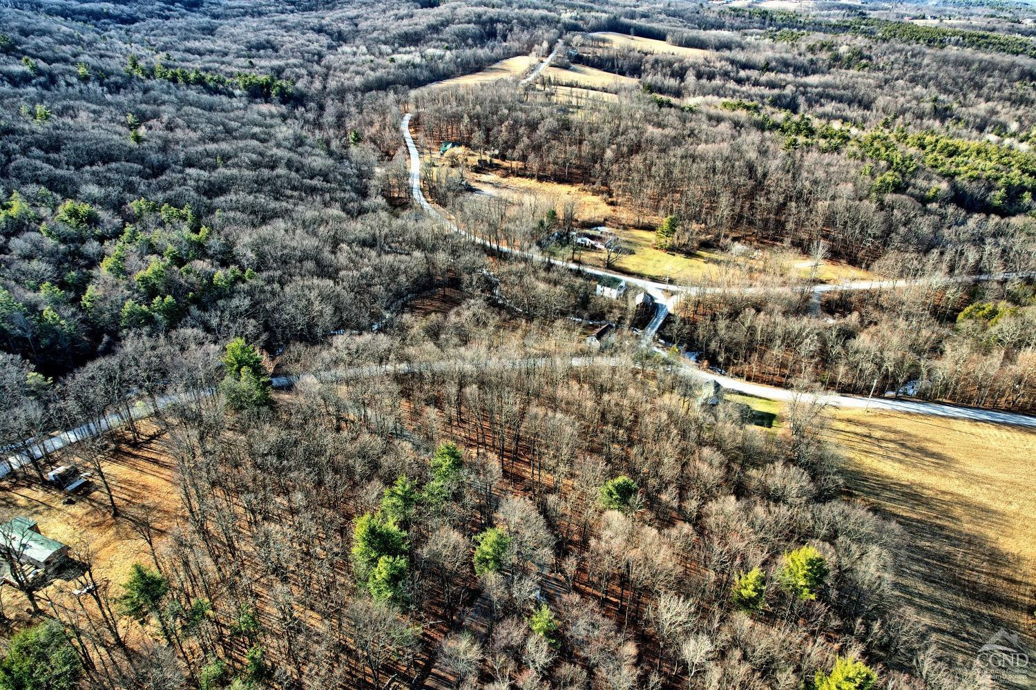 268 Hervey Street Road Durham, NY 12418 - Photo 8 of 79 a view of outdoor space and street view