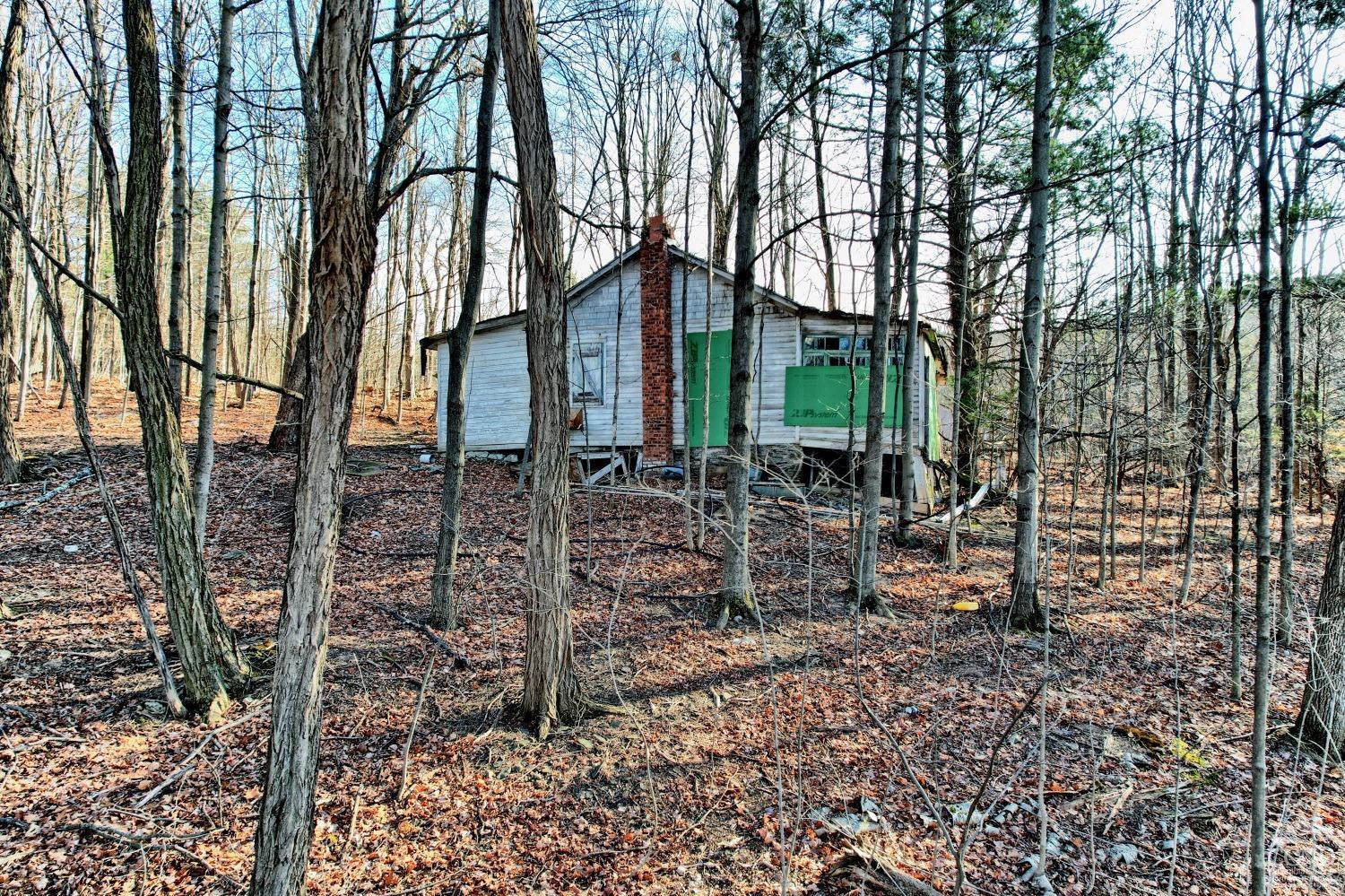 268 Hervey Street Road Durham, NY 12418 - Photo 9 of 79 a view of a park with large trees