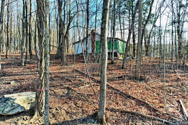 a view of outdoor space with trees