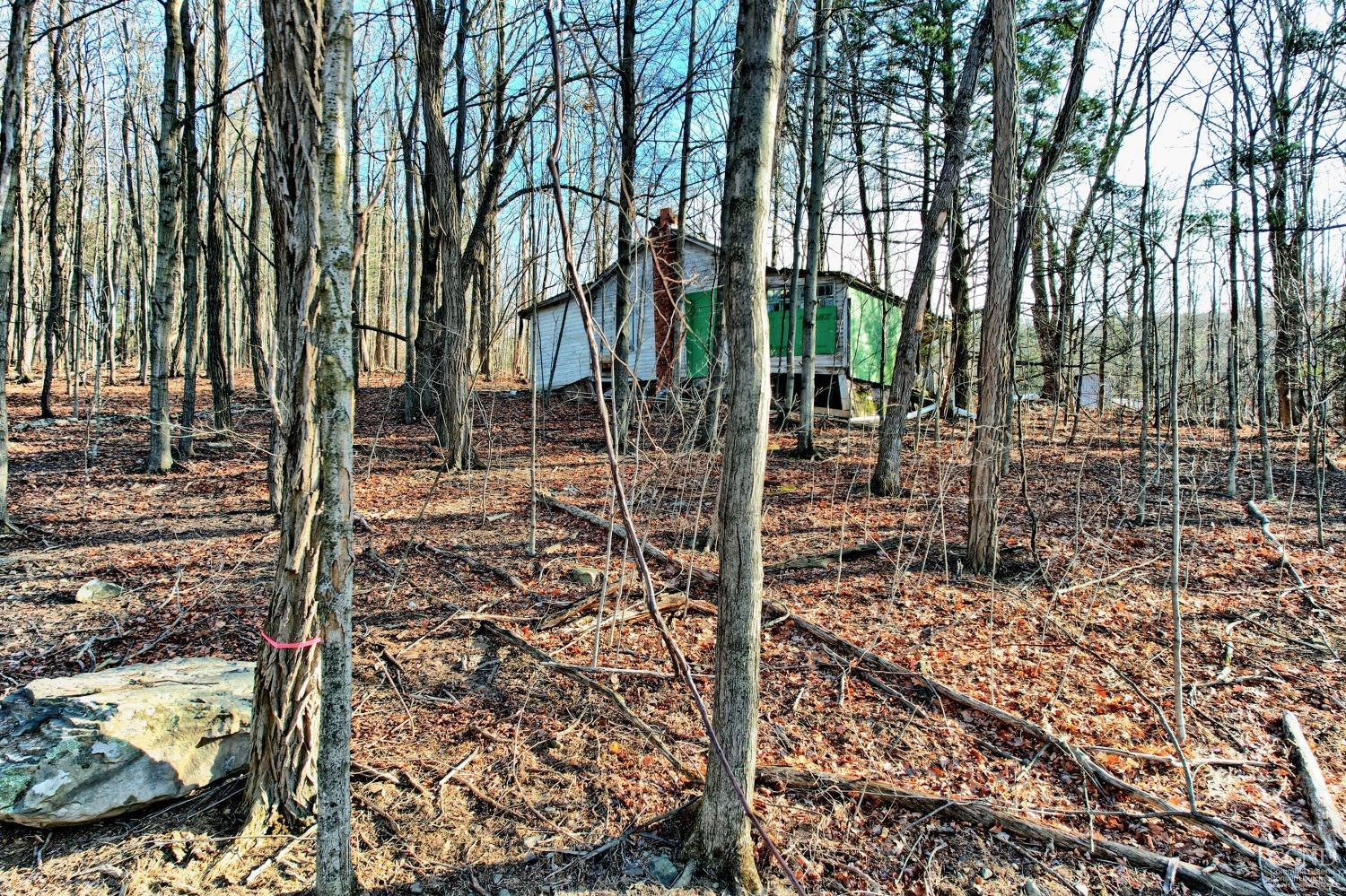 268 Hervey Street Road Durham, NY 12418 - Photo 10 of 79 Photo 10